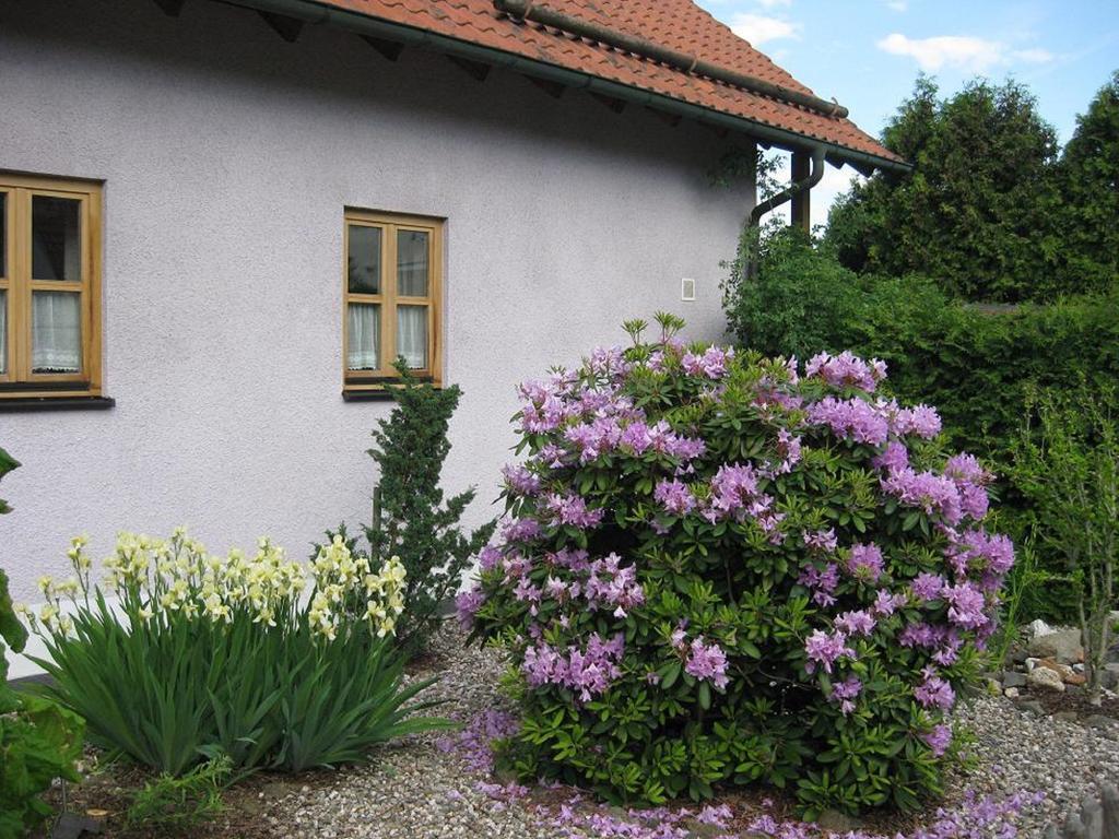 Ferienwohnung Spitzner Stornstein Bagian luar foto